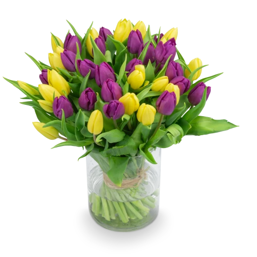 Kytice  tulipánů
